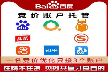 行业领先企业的sem竞价托管代运营策略